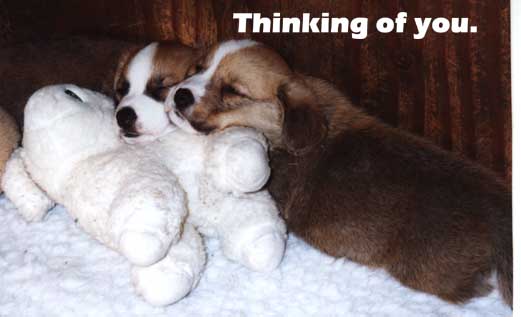 Thinking of YOU